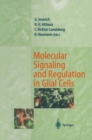 Image for Molecular Signaling and Regulation in Glial Cells: A Key to Remyelination and Functional Repair