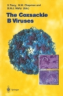 Image for Coxsackie B Viruses