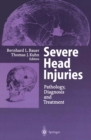 Image for Severe Head Injuries: Pathology, Diagnosis and Treatment