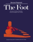 Image for Foot: Pathology, Aetiology, Semiology, Clinical Investigation and Therapy