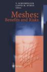 Image for Meshes: Benefits and Risks