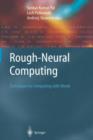 Image for Rough-Neural Computing
