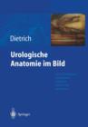 Image for Urologische Anatomie im Bild : von der kunstlerisch-anatomischen Abbildung zu den ersten Operationen