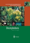 Image for Illustrated Handbook of Succulent Plants: Dicotyledons