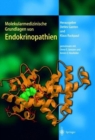 Image for Molekularmedizinische Grundlagen von Endokrinopathien
