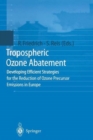 Image for Tropospheric Ozone Abatement