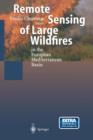 Image for Remote Sensing of Large Wildfires