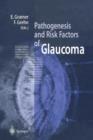 Image for Pathogenesis and Risk Factors of Glaucoma