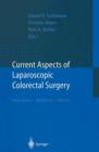 Image for Current Aspects of Laparoscopic Colorectal Surgery : Indications - Methods - Results