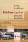 Image for Flachenrecycling : Inwertsetzung, Bauwurdigkeit, Baureifmachung