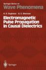 Image for Electromagnetic Pulse Propagation in Casual Dielectrics