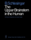Image for Upper Brainstem in the Human: Its Nuclear Configuration and Vascular Supply