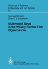 Image for Multimodal Torus in the Weakly Electric Fish Eigenmannia
