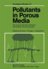 Image for Pollutants in Porous Media