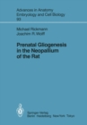 Image for Prenatal Gliogenesis in the Neopallium of the Rat : 93