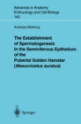 Image for Establishment of Spermatogenesis in the Seminiferous Epithelium of the Pubertal Golden Hamster (Mesocricetus auratus)