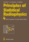 Image for Principles of Statistical Radiophysics 4 : Wave Propagation Through Random Media