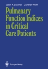 Image for Pulmonary Function Indices in Critical Care Patients