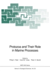 Image for Protozoa and Their Role in Marine Processes : 25