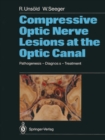 Image for Compressive Optic Nerve Lesions at the Optic Canal: Pathogenesis - Diagnosis - Treatment