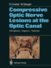 Image for Compressive Optic Nerve Lesions at the Optic Canal