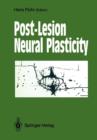 Image for Post-Lesion Neural Plasticity