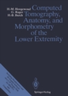 Image for Computed Tomography, Anatomy, and Morphometry of the Lower Extremity