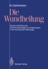Image for Die Wundheilung: Theorie Und Praxis Der Chronomorphologie Von Verletzungen in Der Forensischen Pathologie