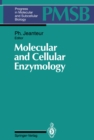 Image for Molecular and Cellular Enzymology