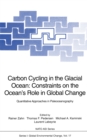 Image for Carbon Cycling in the Glacial Ocean: Constraints on the Ocean&#39;s Role in Global Change: Quantitative Approaches in Paleoceanography : v.17