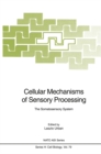Image for Cellular Mechanisms of Sensory Processing: The Somatosensory System