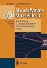 Image for Shock Waves @ Marseille III : Shock Waves in Condensed Matter and Heterogeneous Media
