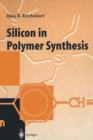 Image for Silicon in Polymer Synthesis