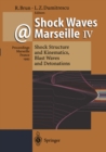 Image for Shock Waves @ Marseille IV: Shock Structure and Kinematics, Blast Waves and Detonations