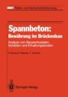 Image for Spannbeton: Bewahrung im Bruckenbau : Analyse von Bauwerksdaten, Schaden und Erhaltungskosten