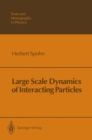 Image for Large Scale Dynamics of Interacting Particles
