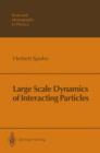 Image for Large Scale Dynamics of Interacting Particles