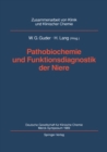 Image for Pathobiochemie und Funktionsdiagnostik der Niere: Deutsche Gesellschaft fur Klinische Chemie Merck-Symposium 1989