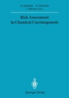 Image for Risk Assessment in Chemical Carcinogenesis : 1991 / 1991/1