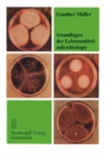 Image for Grundlagen Der Lebensmittelmikrobiologie: Eine Einfuhrung