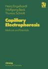 Image for Capillary Electrophoresis : Methods and Potentials