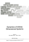 Image for Dynamics of Infinite Dimensional Systems
