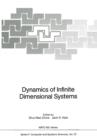 Image for Dynamics of Infinite Dimensional Systems