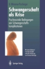 Image for Schwangerschaft als Krise : Psychosoziale Bedingungen von Schwangerschaftskomplikationen