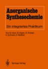 Image for Anorganische Synthesechemie: Ein integriertes Praktikum