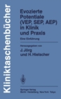 Image for Evozierte Potentiale (VEP, SEP, AEP) in Klinik und Praxis: Eine Einfuhrung