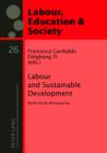 Image for Labour and sustainable development: north-south perspectives