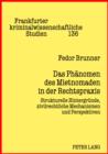 Image for Das Phaenomen des Mietnomaden in der Rechtspraxis: Strukturelle Hintergruende, zivilrechtliche Mechanismen und Perspektiven