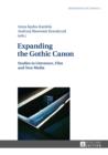 Image for Expanding the Gothic canon: studies in literature, film and new media