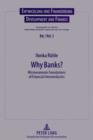 Image for Why Banks?: Microeconomic Foundations of Financial Intermediaries